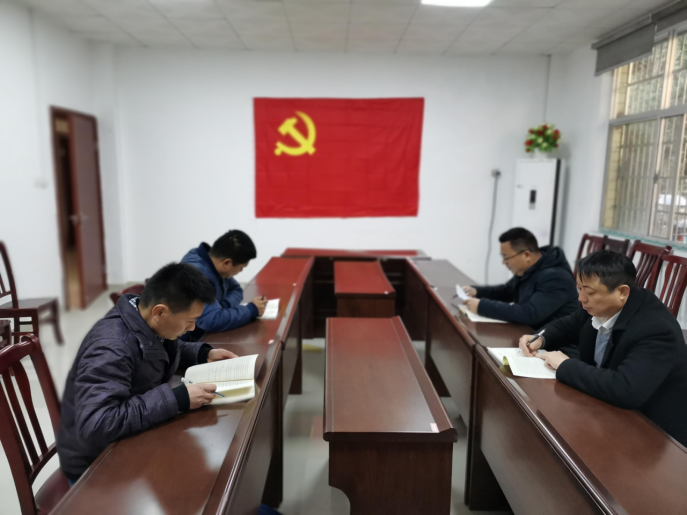 湖南鸟儿巢水电站发电有限乐动体育·官方网站党支部正式成立