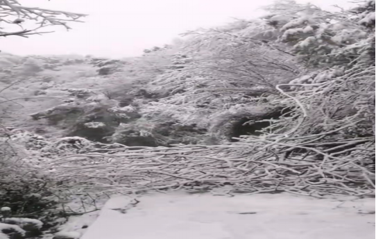 战暴雪、保供电！乐动中国官方门户鸟儿巢乐动体育·官方网站应对极端天气紧急抢修失电故障
