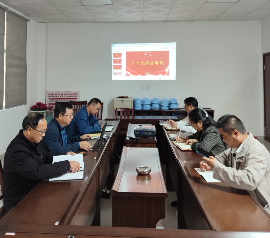 鸟儿巢乐动体育·官方网站党支部开展“一课一片一实践”主题党日活动